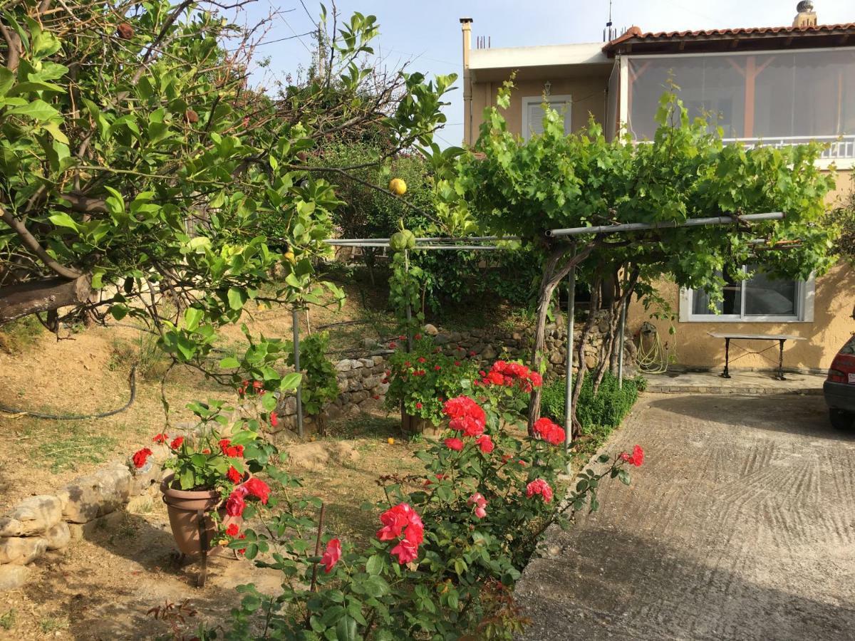 Physis Rental Estate Pigi  ภายนอก รูปภาพ